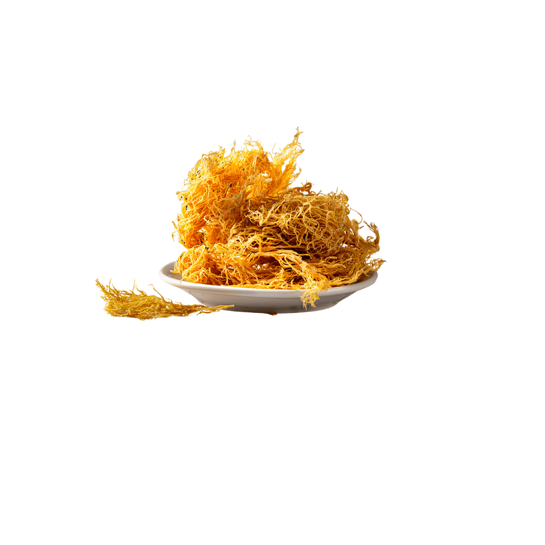 Wildcrafted Sea Moss Raw - Make your own Sea Moss gel - NaturalSoulution